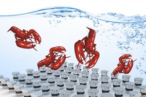 生蠔如何快速清洗？超聲波清洗機讓生蠔小龍蝦田螺大閘蟹更美味